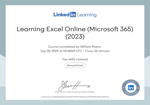 Learning Excel Online