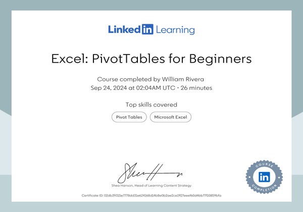 Excel: PivotTables
